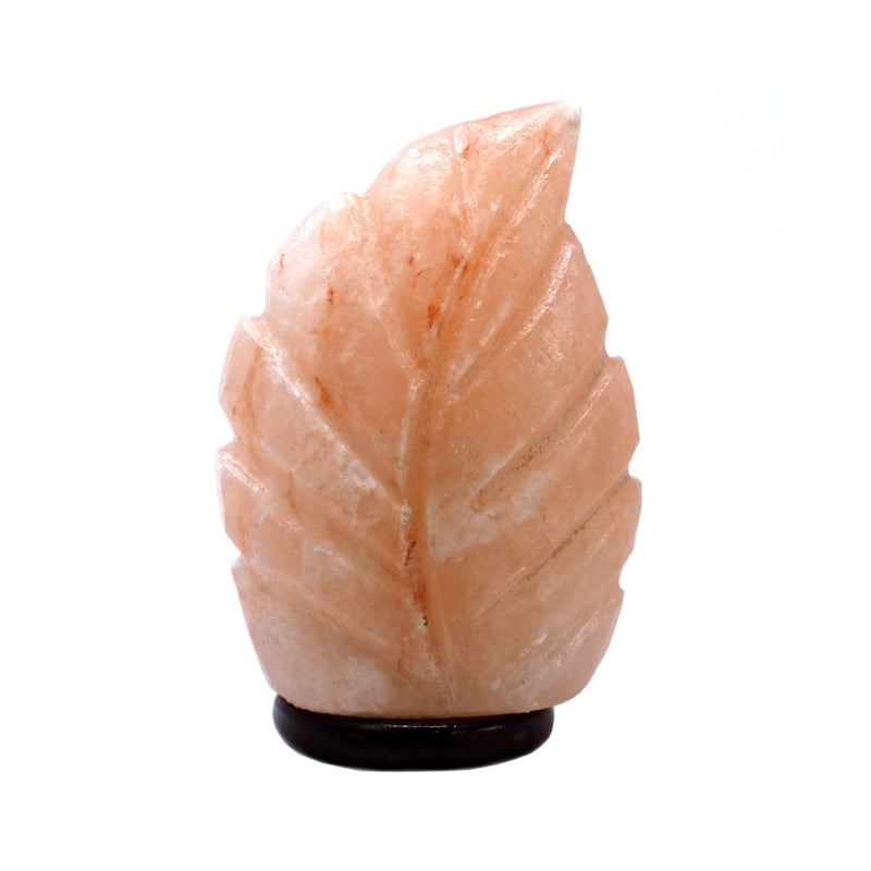 Himalayan Crystal Crafted Salt Lamps - 3kg  Fern 8 x 13 x 18 cm - My Vitamin Shop