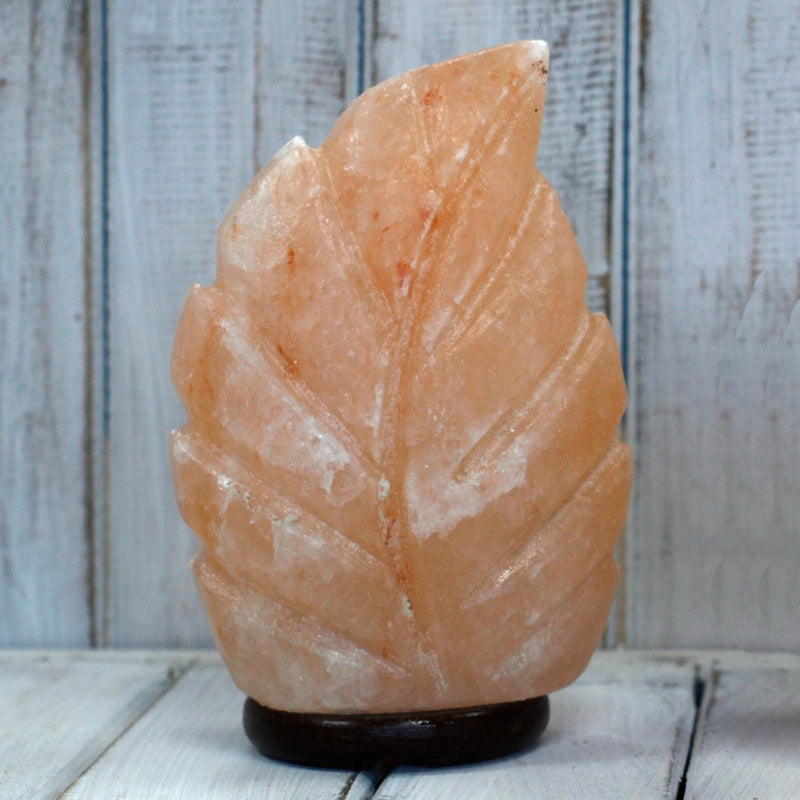 Himalayan Crystal Crafted Salt Lamps - 3kg  Fern 8 x 13 x 18 cm - My Vitamin Shop