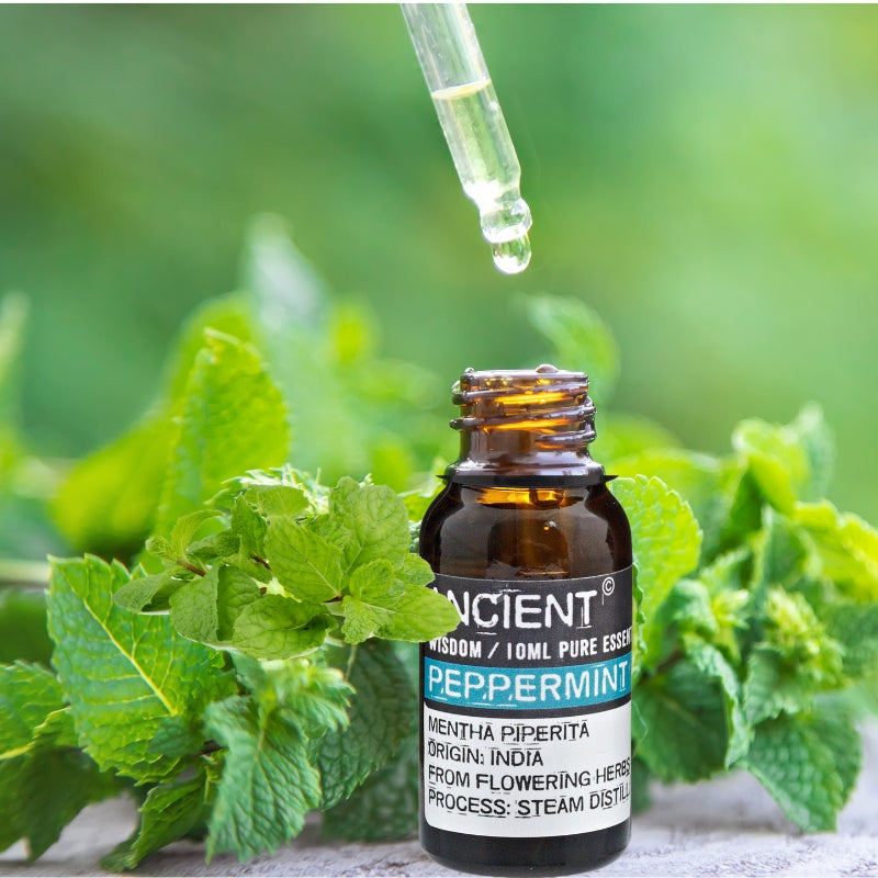 Peppermint Essential Oil - 10ml - My Vitamin Shop