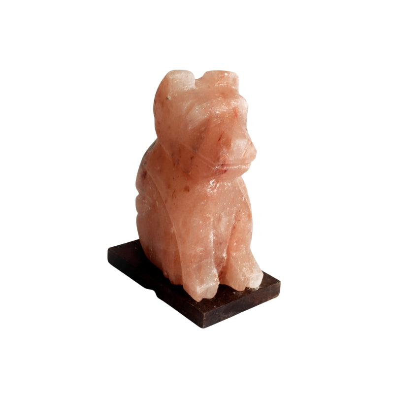 Himalayan Crystal Animal Salt Lamps - Dog 3kg - My Vitamin Shop