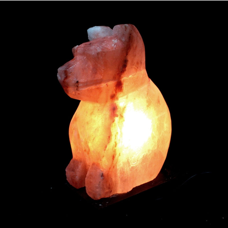 Himalayan Crystal Animal Salt Lamps - Dog 3kg - My Vitamin Shop