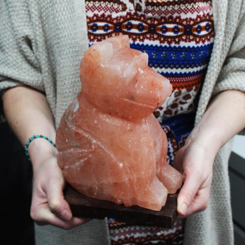 Himalayan Crystal Animal Salt Lamps - Dog 3kg - My Vitamin Shop