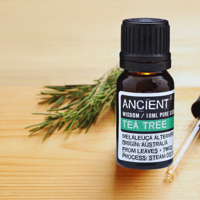 Tea Tree Essential Oil 10 ml - My Vitamin Shop