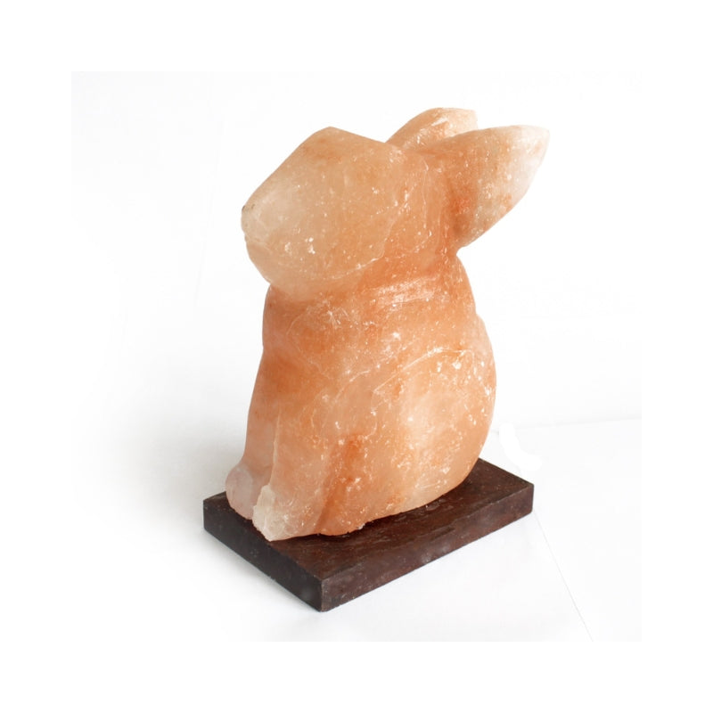 Himalayan Crystal Animal Salt Lamps - Rabbit 3kg - My Vitamin Shop