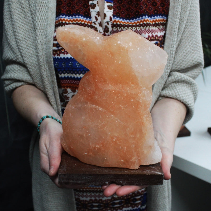 Himalayan Crystal Animal Salt Lamps - Rabbit 3kg - My Vitamin Shop