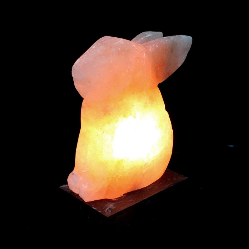 Himalayan Crystal Animal Salt Lamps - Rabbit 3kg - My Vitamin Shop