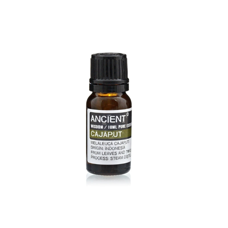 Cajaput Essential Oil - 10 ml - My Vitamin Shop