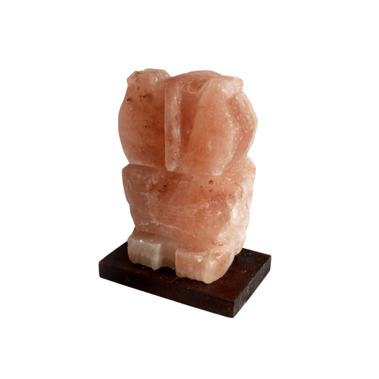 Himalayan Crystal Animal Salt Lamps - Owl 3kg - My Vitamin Shop