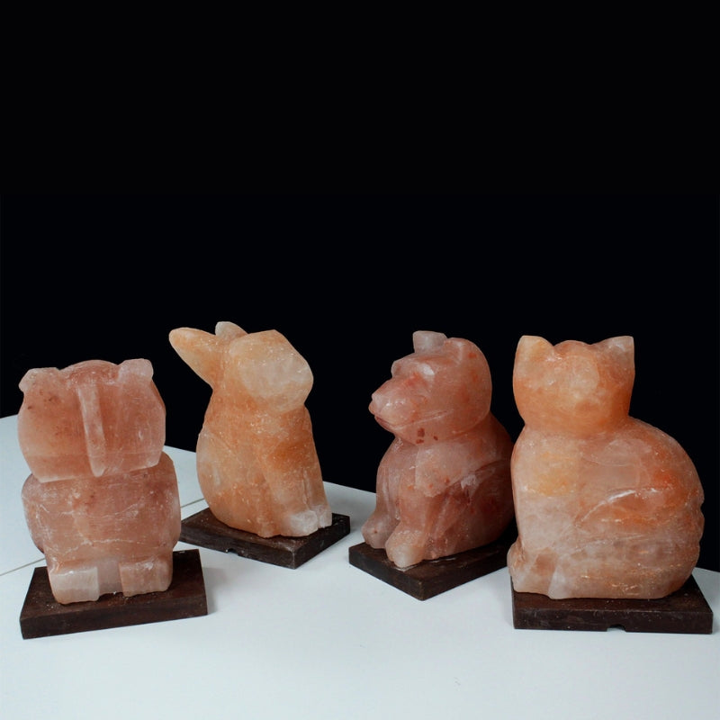 Himalayan Crystal Animal Salt Lamps - Rabbit 3kg - My Vitamin Shop