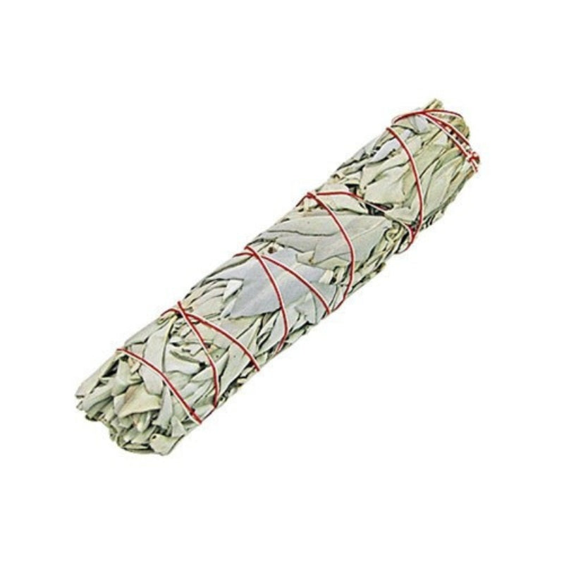 Smudge Stick - White Sage 22.5 cm - My Vitamin Shop